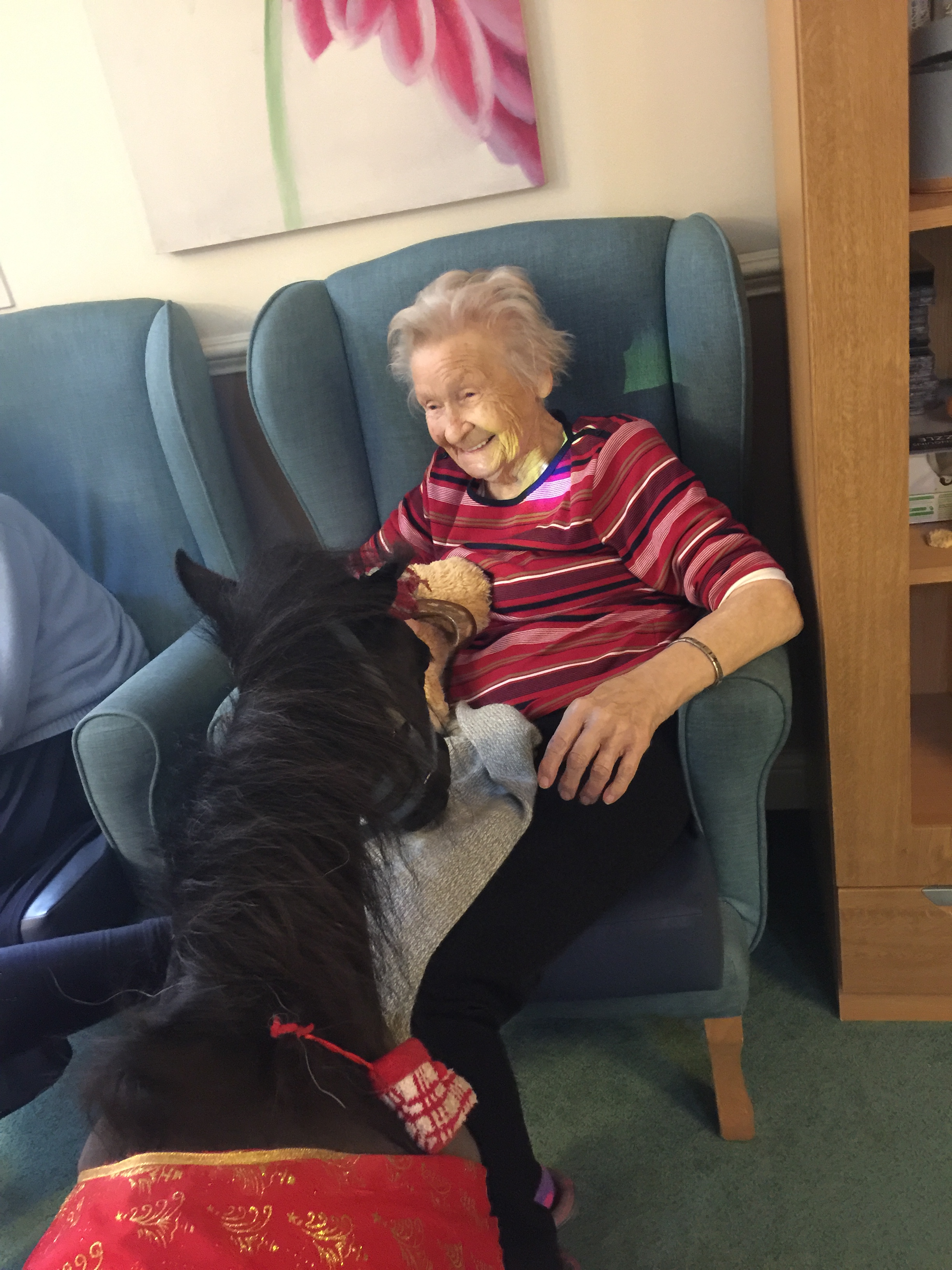 K L Pony Therapy visit to Four Seasons Care Centre: Key Healthcare is dedicated to caring for elderly residents in safe. We have multiple dementia care homes including our care home middlesbrough, our care home St. Helen and care home saltburn. We excel in monitoring and improving care levels.